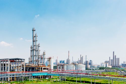 公司概況——化工行業(yè)領航者