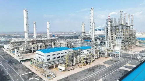 2024，濱州打響三大戰(zhàn)役 化工產(chǎn)業(yè)轉(zhuǎn)型升級的攻堅之路