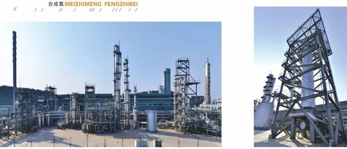 中國化工報聚焦四川美豐，一項關鍵工藝通過科技成果鑒定